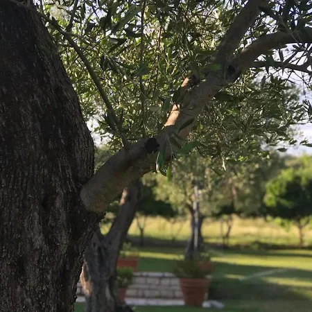 Lejlighed Leremo Luxury Messonete